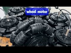 Die Wahl eines Rasenmähers: Haben Sie wirklich sein wichtigstes Teil—den Motor—berücksichtigt?